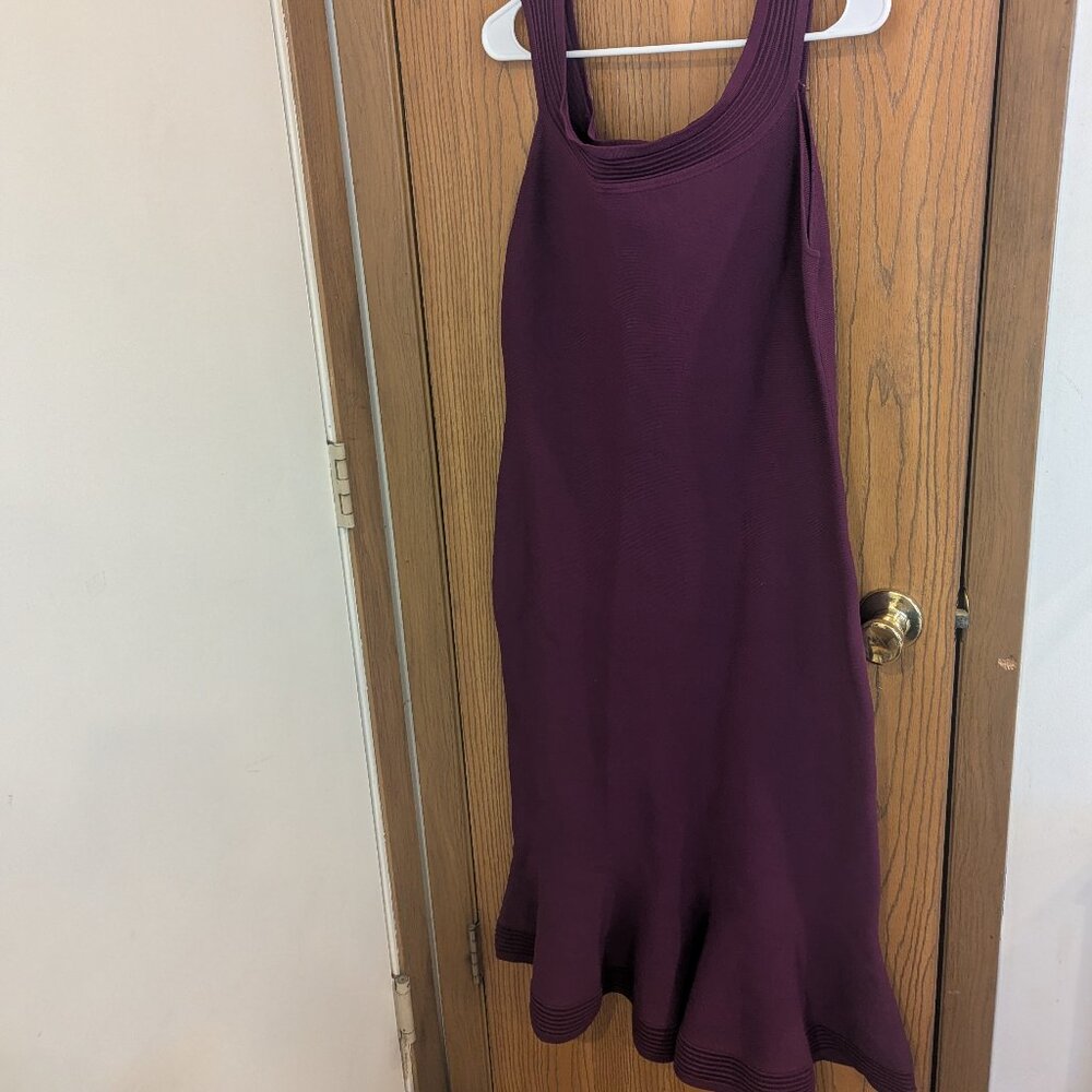 Eva Mendes Fitted and Flare Sleeveless Plum Dress-Women's XL